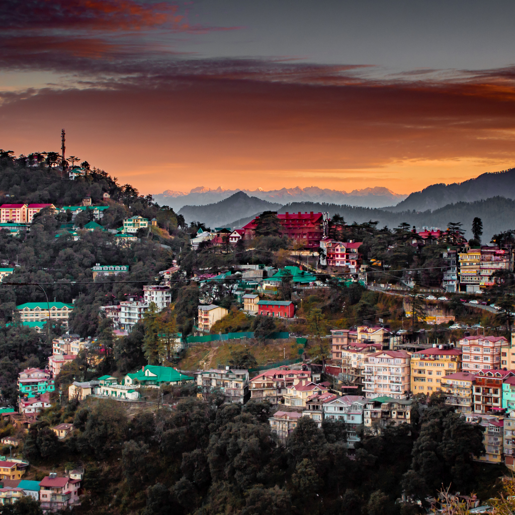 Shimla